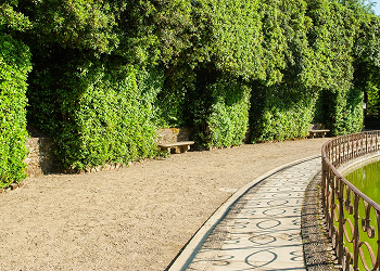 Lawn Design